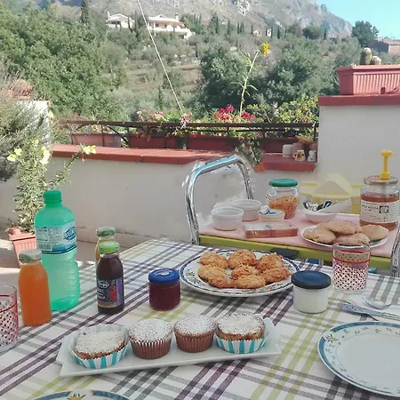Проживание в семье Mimosa *